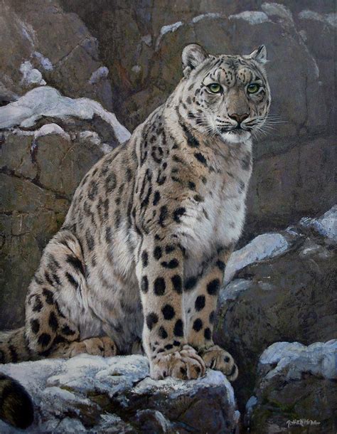 Snow leopard painting by Gabriel Hermida | Art - Wildlife - Wild Cats ...