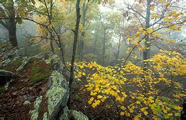 Cheaha State Park