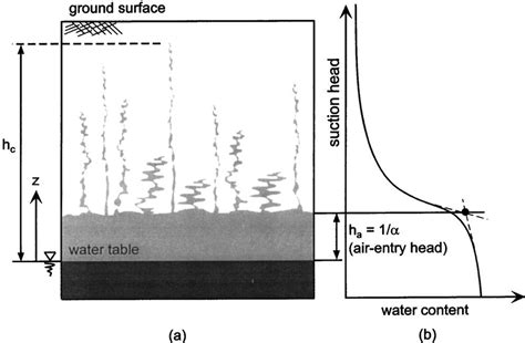 Conceptual model for capillary rise and associated soil-water... | Download Scientific Diagram