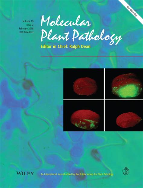 Phytophthora cinnamomi - Hardham - 2018 - Molecular Plant Pathology ...