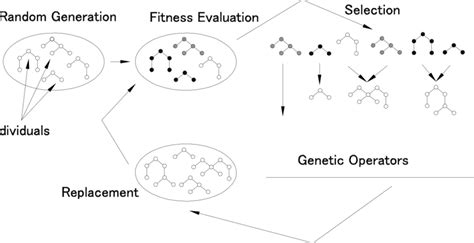 The artificial evolution cycle. | Download Scientific Diagram