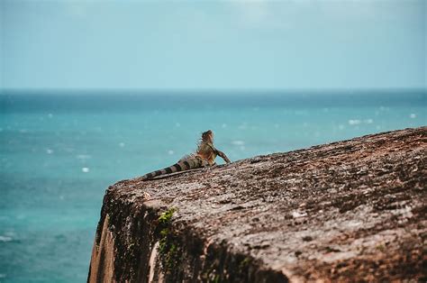 HD wallpaper: puerto rico, san juan, old san juan, architecture, built structure | Wallpaper Flare