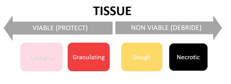 Types Of Wound Drainage