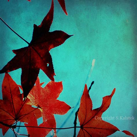 This item is unavailable | Etsy | Maple leaf prints, Color pallets ...