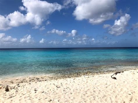 Cas Abao Beach (Curacao) - 2019 All You Need to Know BEFORE You Go (with Photos) - TripAdvisor