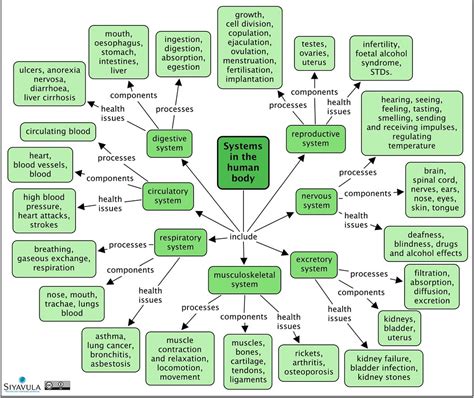 Gr 9 - Ch 2 - Systems in the body | A SUMMARY concept map of… | Flickr