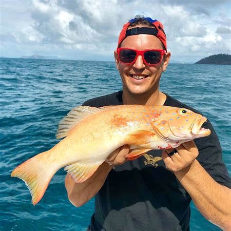 Coral Trout - Whitsundays | QLD | Endless Oceans