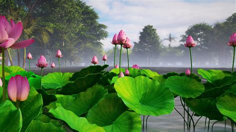 LOTUS -LUMION TREE - Lumion Việt Nam