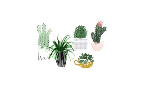 Cute Aesthetic Plant Wallpapers - Wallpaper Cave