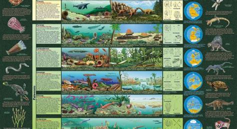 Eras of Life. Magnificently illustrated geological time visualization providing an extensive ...