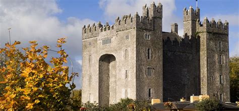 Bunratty Castle & Folk Park – AVEA