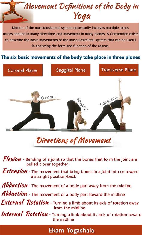 Movement Definitions in Yoga | Movement Definitions - Anatom… | Flickr