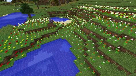 Flower forest biome in Minecraft: Everything players need to know