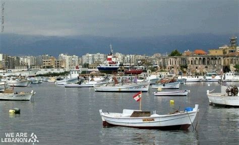 Tripoli Harbour, Lebanon | Vacation places, Palm island, Wonders of the ...