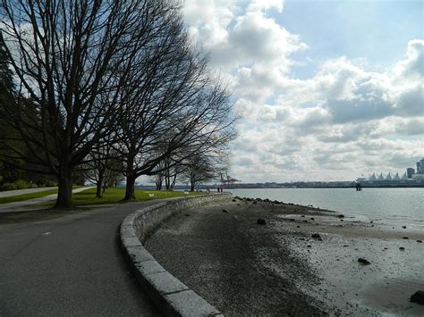 Stanley Park Seawall Photograph by Nicki Bennett - Fine Art America