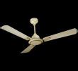 Ceiling Fans at best price in Faridabad by Thakural Electric Works | ID ...