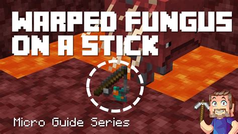 Warped Fungus On A Stick Recipe