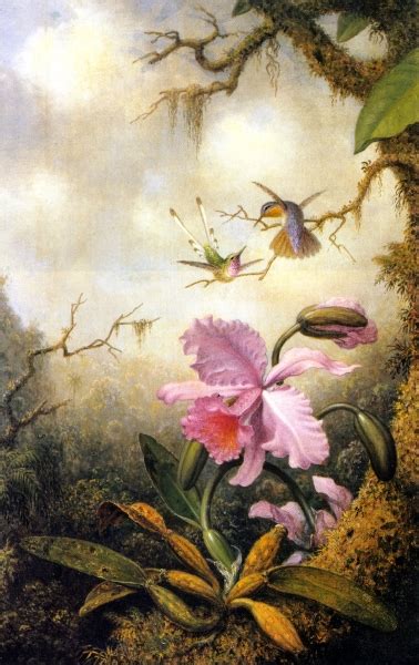 Hummingbirds and Orchids 1 by Martin Johnson Heade