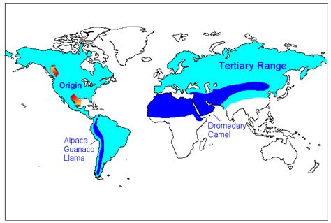 camel distribution