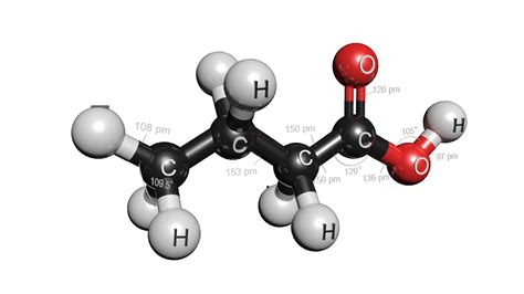 3D c4h8o2 butyric acid model - TurboSquid 1423470