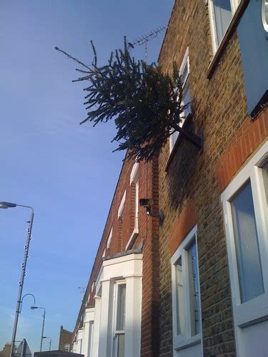 Flag pole Christmas tree | Jeff Van Campen | Flickr