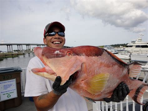 Fishing on Tybee Island | Tybee Island | Georgia