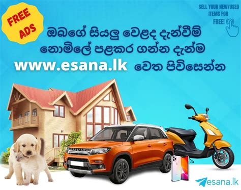 Sri lanka free classified website | Post free ads, Free ads, Free classified ads