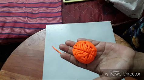 How to make a playdoh brain/clay brain / - YouTube