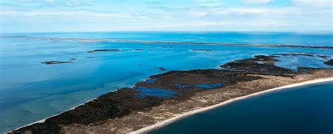 Seagrass on North Carolina Coast in Jeopardy | BoatTEST