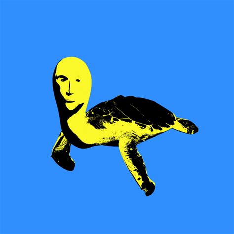 Authentic Digital Art - Meme Turtle | SuperRare