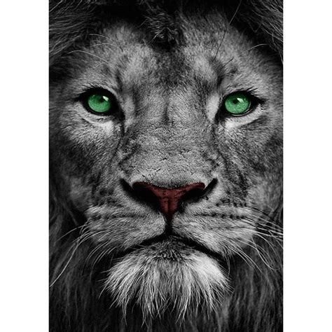 Diamond Painting - Full Round - Green Eye Lion | Lion eyes, Eyes wallpaper, Lion wallpaper