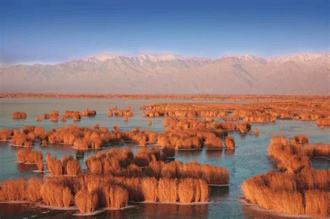 Ningxia Hui Autonomous Region - China FEC