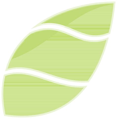 Stylish glossy green leaf. 24336245 Vector Art at Vecteezy