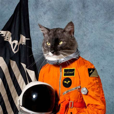 Space Cat Blank Template - Imgflip