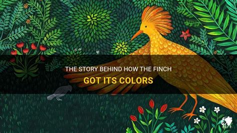 The Story Behind How The Finch Got Its Colors | PetShun