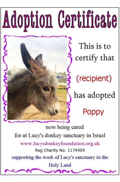 Adopt a Donkey for Donkey Day!