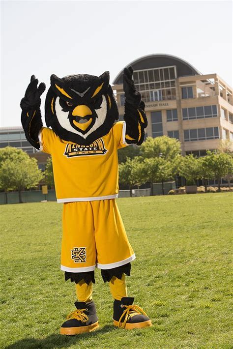 Meet Scrappy the Owl, the Mascot of Kennesaw State University