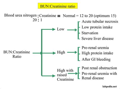 Blood urea nitrogen/Creatinine ratio (BUN/Creatinine ratio) – Labpedia.net