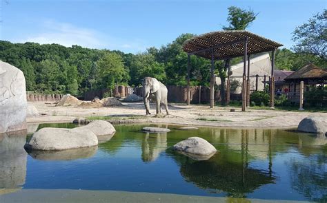 CLEVELAND METROPARKS ZOO (2024) All You Need to Know BEFORE You Go (with Photos) - Tripadvisor