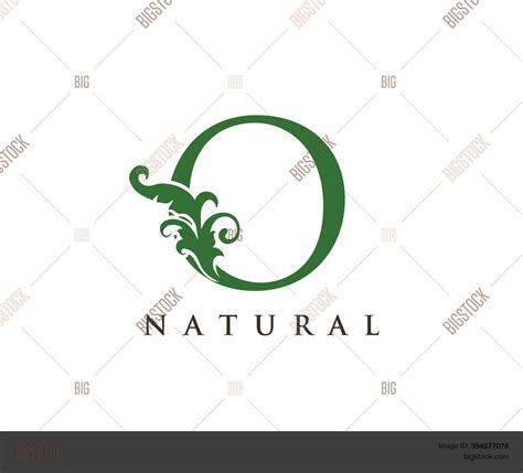 Green O Letter Logo. Vector & Photo (Free Trial) | Bigstock