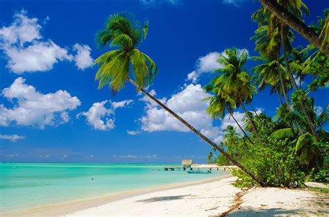 7 Best Beaches in Trinidad and Tobago