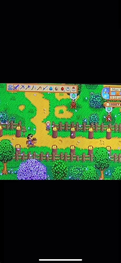 i always find this funny : r/StardewValley