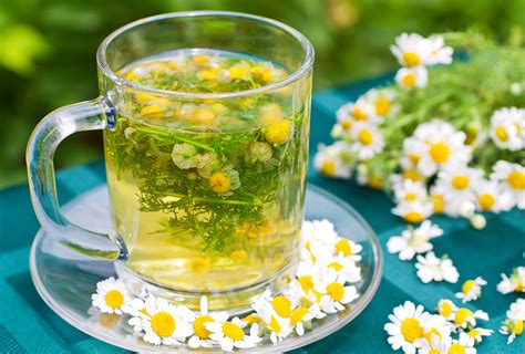 12 Useful Health Benefits of Chamomile Tea - eMediHealth