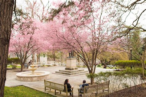 Spring is Finally Here · News · Lafayette College