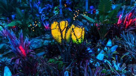 The Science Behind the Magic: Pandora – The World of Avatar | Disney ...