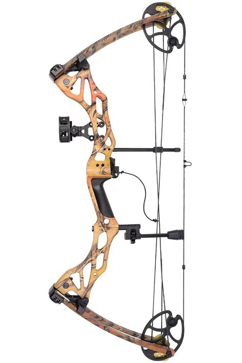 5 Best Compound Bows for Hunting 2022| Most are Under $400