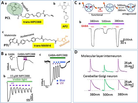 Optical switches that modulate the activity of ionotropic GABA ...