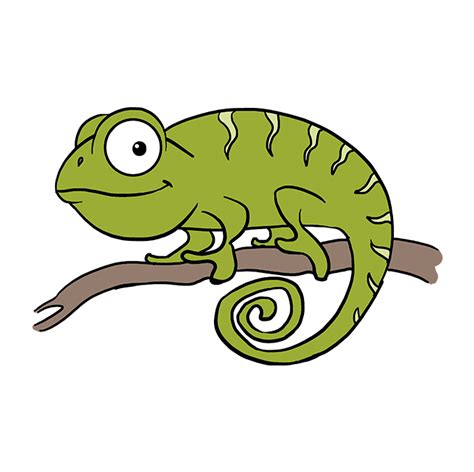 How to Draw a Chameleon - Really Easy Drawing Tutorial