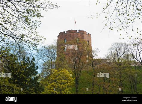 Gediminas' Castle In The Upper Castle Area, Vilnius, Lithuania Stock ...