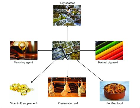 | Biomolecules derived from seafood as a functional food ingredient. | Download Scientific Diagram